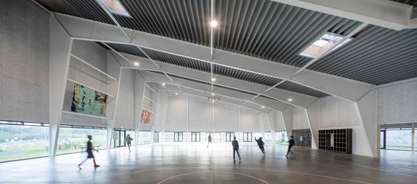 Multi-Purpose Sports Facility in Ørestad City