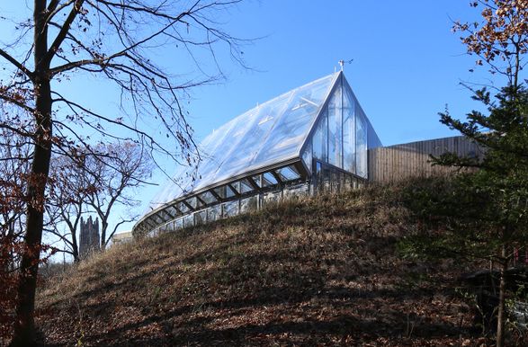 Wellesley College Global Flora