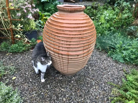 Capital garden Beehive Jar Panter