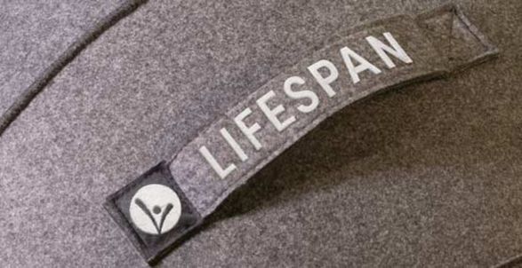 Lifespan Yoga Ball Office Chair