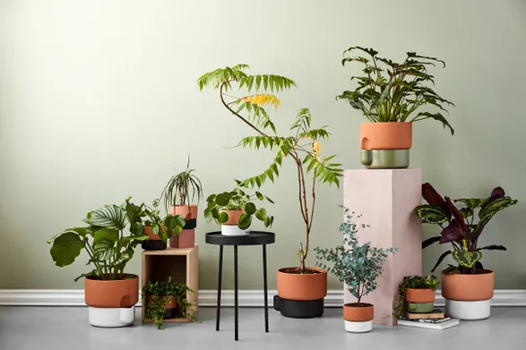 Northern Oasis Flowerpot Medium