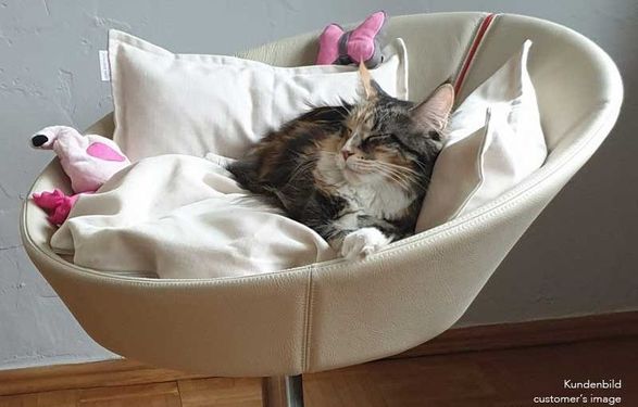 Pet-interiors Cosmo Cat Bed Deluxe