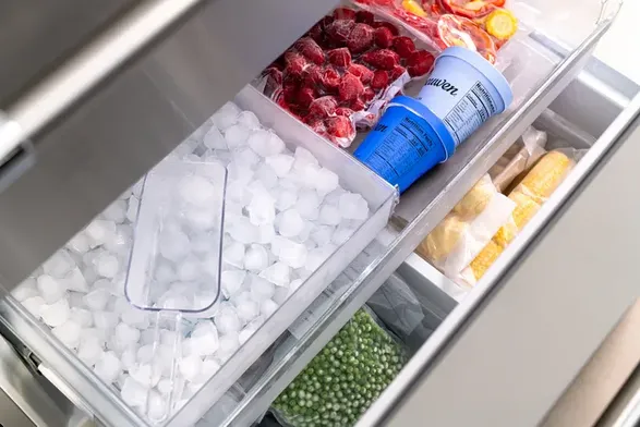 Thermador Professional Freestanding French Door Bottom Mount Refrigerator 36'' Professional Panel Ready, Stainless Steel
