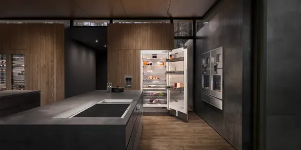 Gaggenau 400 Series Vario Freezer 24''