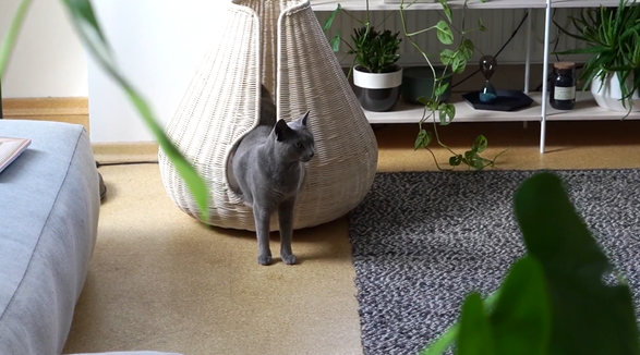 Miacara Perla Cat Cave Bed