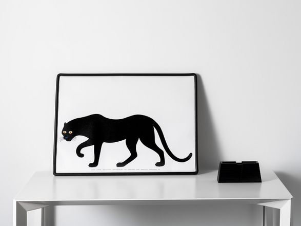 Danese Milano Quattro, La Pantera (50x70)