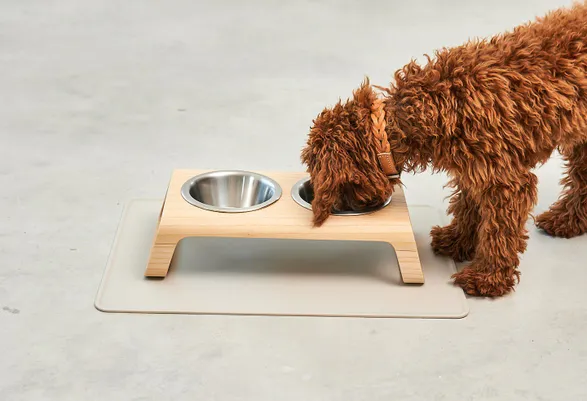 Miacara Tova Dog Placemat