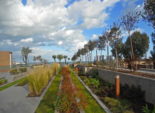 Laterlite Urban Landscaping, Urban Planting, Gardens Corpo