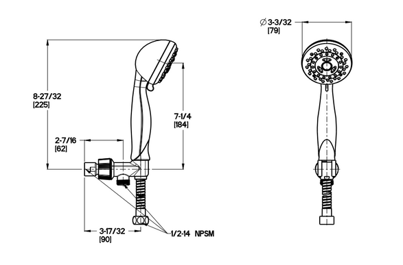 Pfister Faucets Pfister Multifunction Handheld Shower
