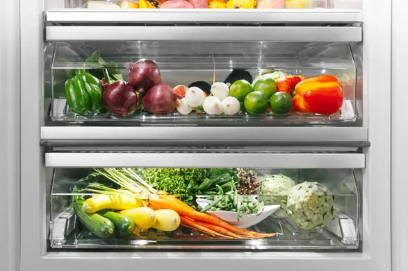 Thermador Freedom® Built-in Refrigerator Column 24'' Panel Ready T24IR905SP