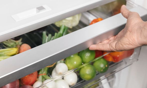 Thermador Freedom® Built-in Refrigerator Column 24'' Panel Ready T24IR905SP