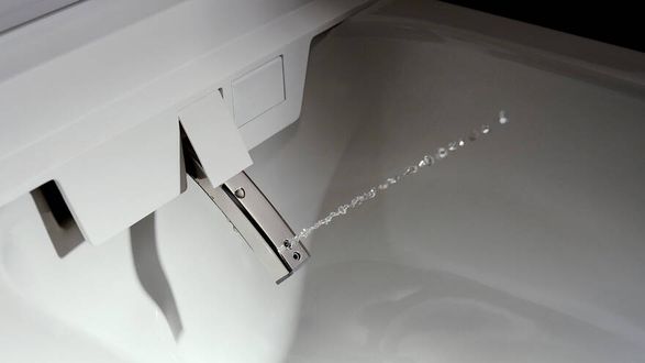 Hansgrohe Lavapura Element S Wall Hung Shower Toilet Set Aquahelix Flush, Smartclean, Hygieneeffect