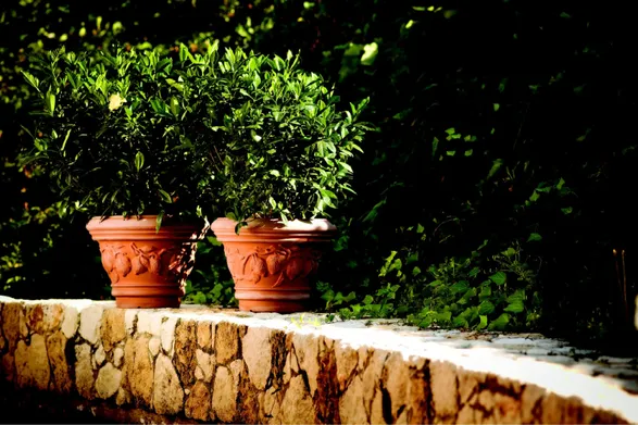 Serralunga Decorati Limoni Planter