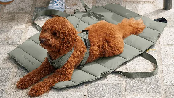 Miacara Strada Dog Travelbed
