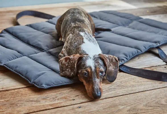 Miacara Strada Dog Travelbed
