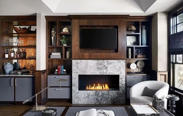 Ecosmart Fire Flex 50SS Fireplaces