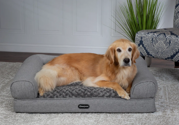 Wayfair Beautyrest Lux Lounger Memory Foam Couch Bed