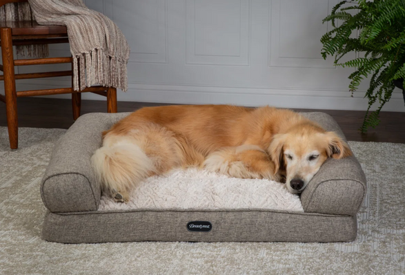 Wayfair Beautyrest Lux Lounger Memory Foam Couch Bed