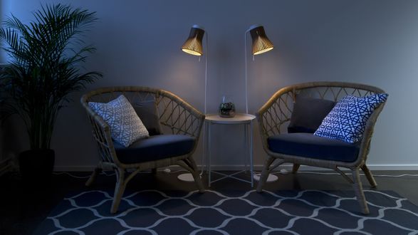Petite 4610 Floor Lamp