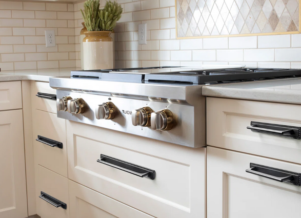 Wayfair Ornate Studded-Edge Cabinet Pull Handles