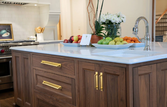 Wayfair Ornate Studded-Edge Cabinet Pull Handles