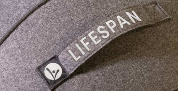 lifespan yoga ball office chair