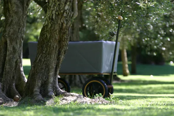 Tradewinds The Wagon Handcarts