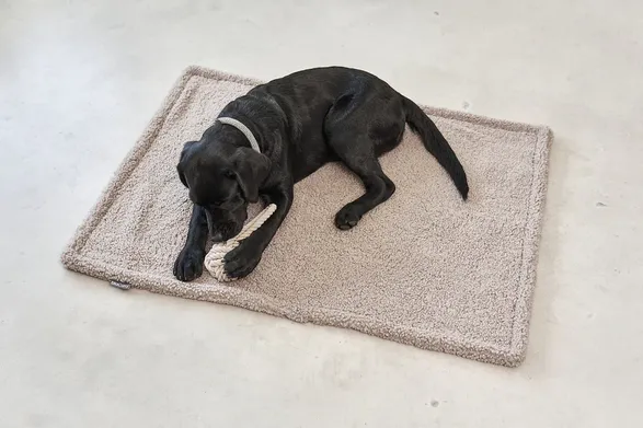 Miacara Senso Dog Blanket