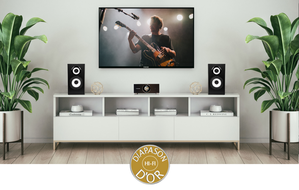 Cabasse Amp-240 S Amplifier