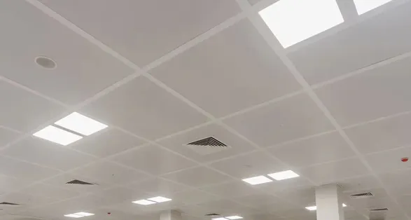 Apton Lay In Ceiling AP 101
