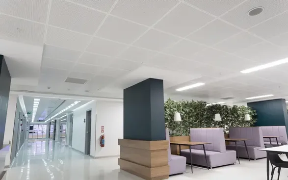 Apton Ap102 Clip In Ceiling Information