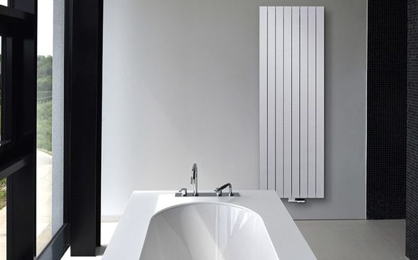 Vasco Zaros  Vertical  V100 Aluminium  Radiator