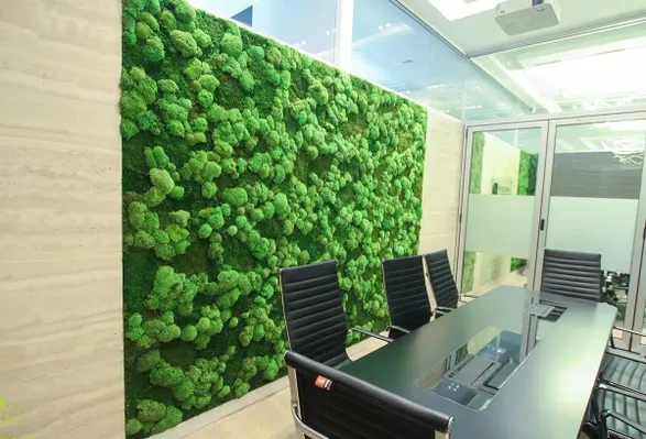 Greenmood Ball Moss Acoustic Green Wall