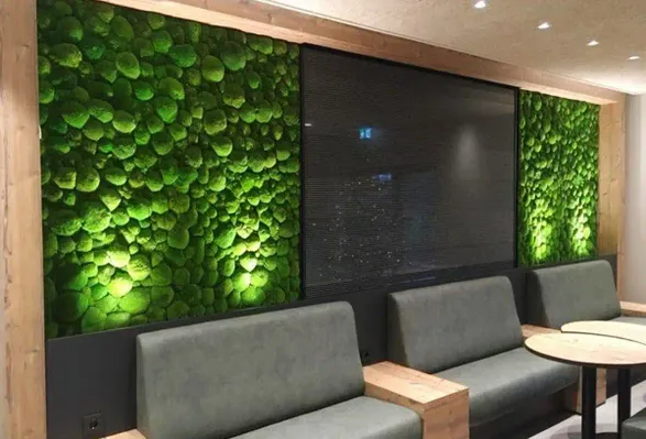 Greenmood Ball Moss Acoustic Green Wall
