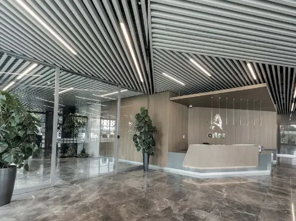 Apton Design Ceiling AP 105