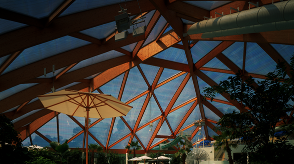 Mm-holz Engineered Glulam Beams