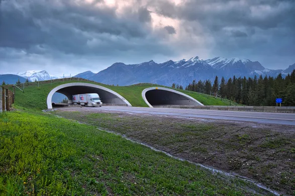 Conteches Ultra-cor® Bridges