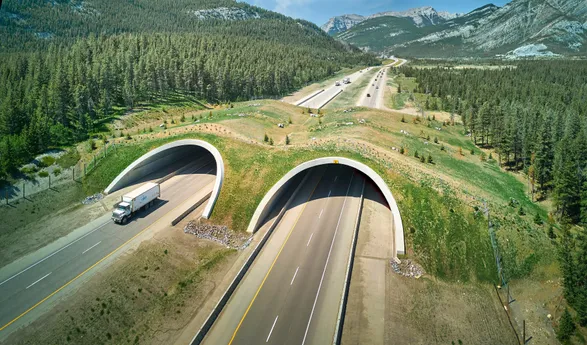 Conteches Ultra-cor® Bridges