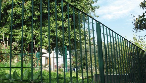 Baldassar Plusar Fences