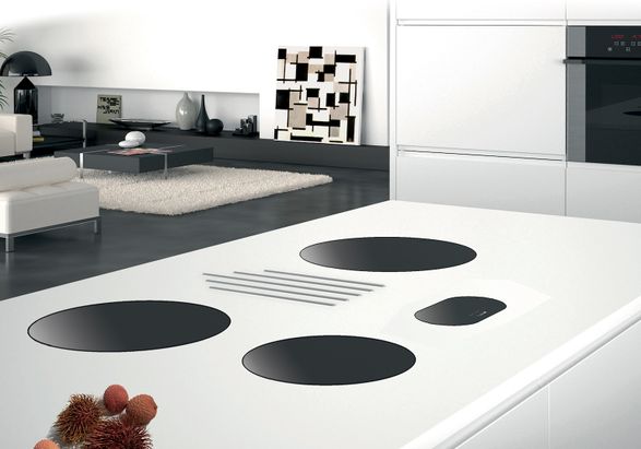 Fosterspa Cooker Hob Modular Induction