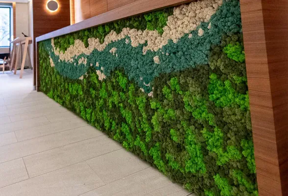 Greenmood Reindeer Moss Acoustic Green Wall.