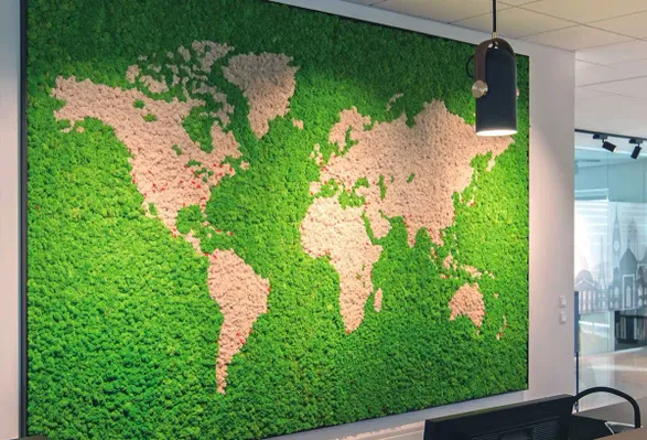 Greenmood Reindeer Moss Acoustic Green Wall.