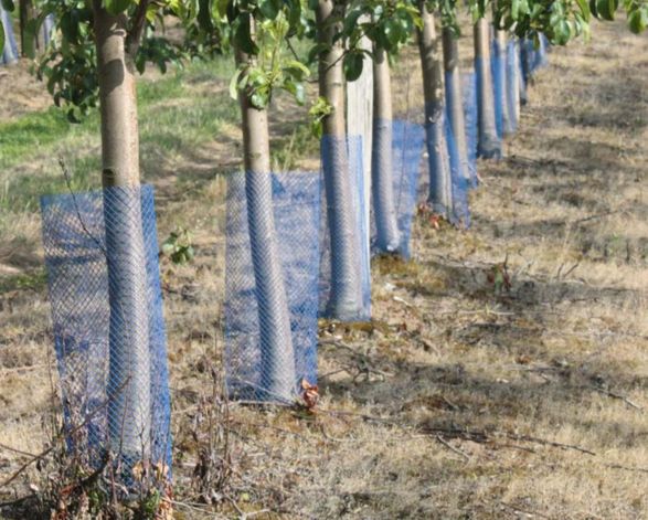 Tenax Tg 16 Fences