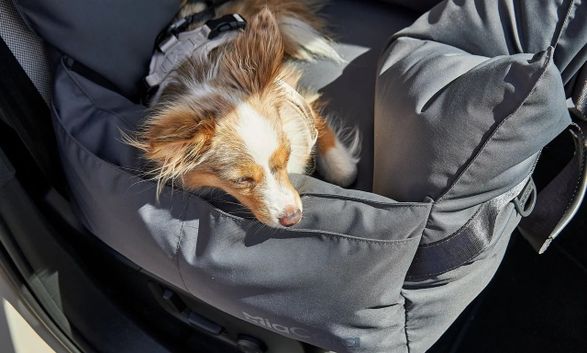 Miacara Viaggio Travel Bed