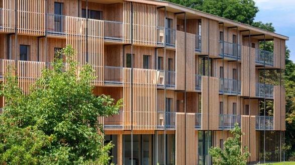 Mm-holz Cross-Laminated Timber