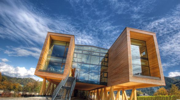 Mm-holz Cross-Laminated Timber