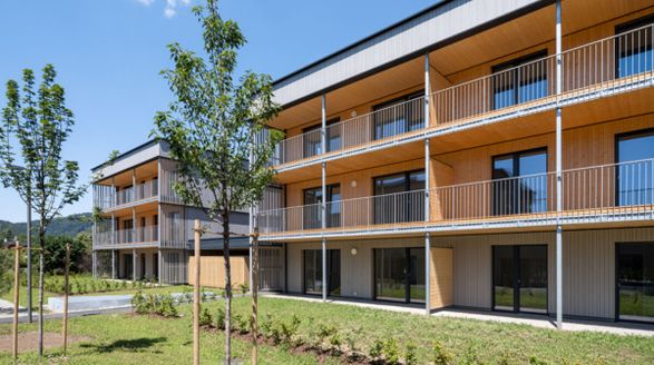 Mm-holz Cross-Laminated Timber