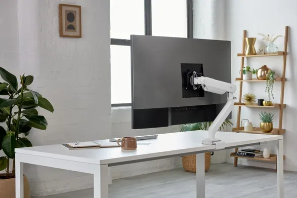 Colebrook Bosson Saunders Flo X Monitor Arm