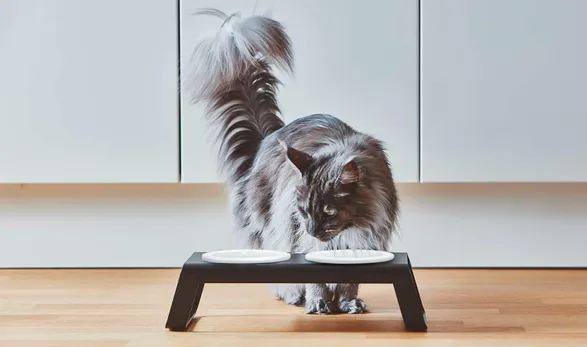Miacara Desco Cat Feeder With Porcelain Bowls