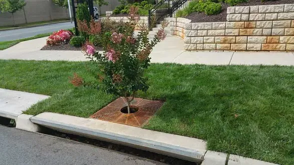 Contech Filterra® Bioretention